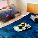 Focus شقة *