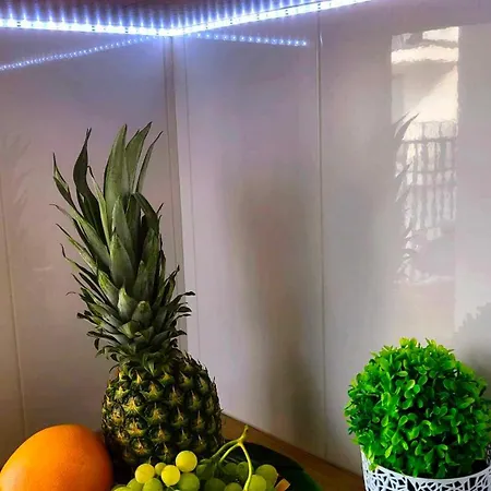 Appartement Focus Lublin